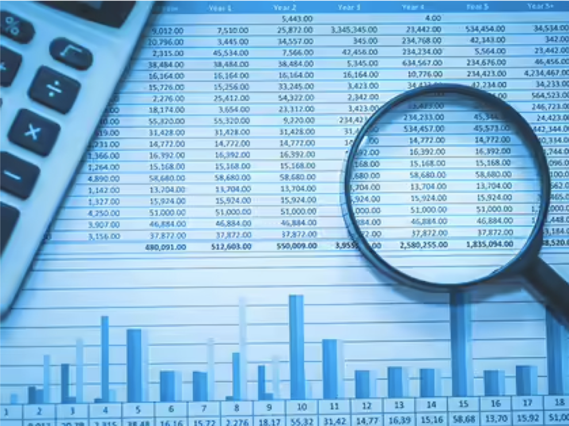 Statutory Audit