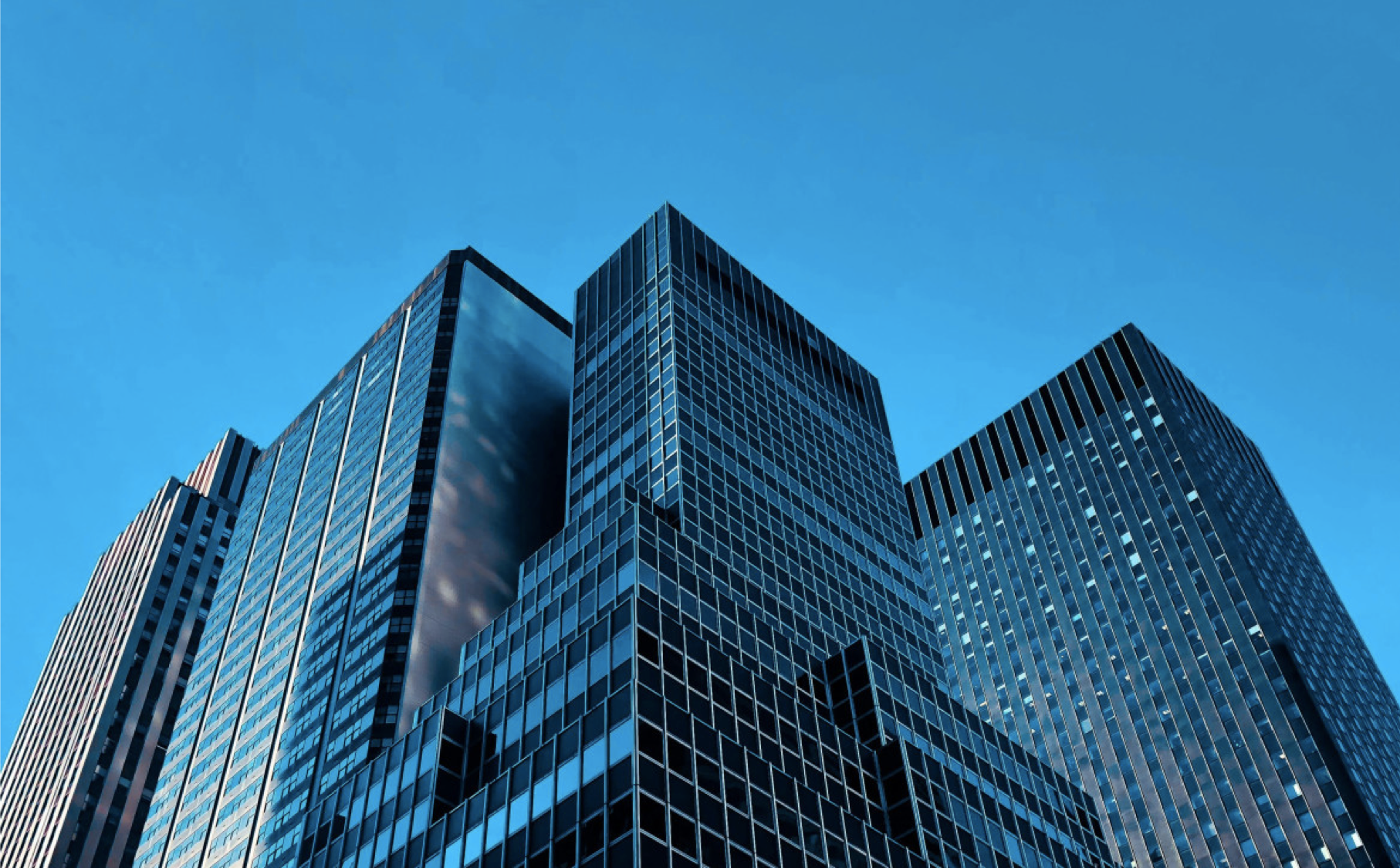 Company Law Compliance