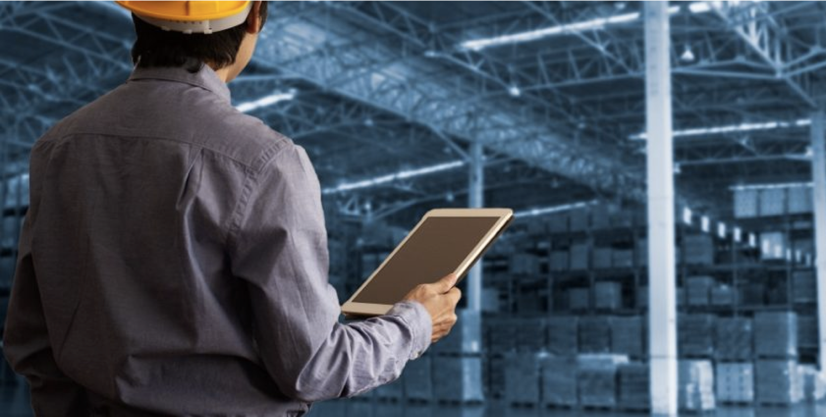 Physical Verification of Assets